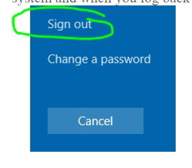 Sign Out Option